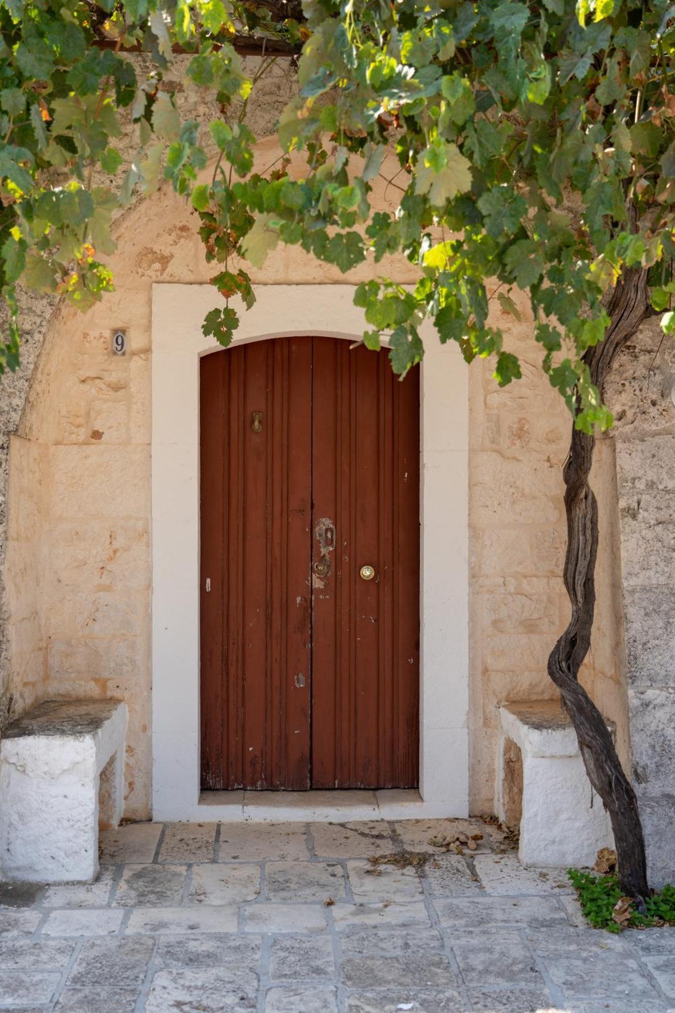 Trullo Vacanze Di Cumma Rosa 阿尔贝罗贝洛 外观 照片