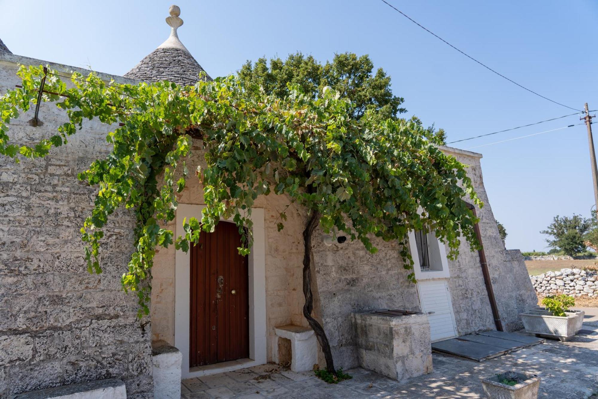 Trullo Vacanze Di Cumma Rosa 阿尔贝罗贝洛 外观 照片
